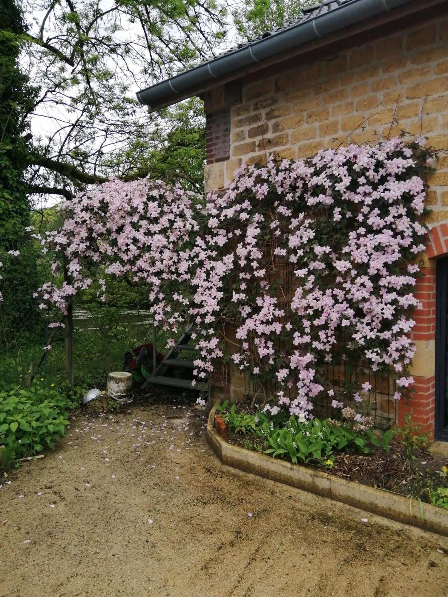 O Jardin De Boutancourt Villa Екстериор снимка