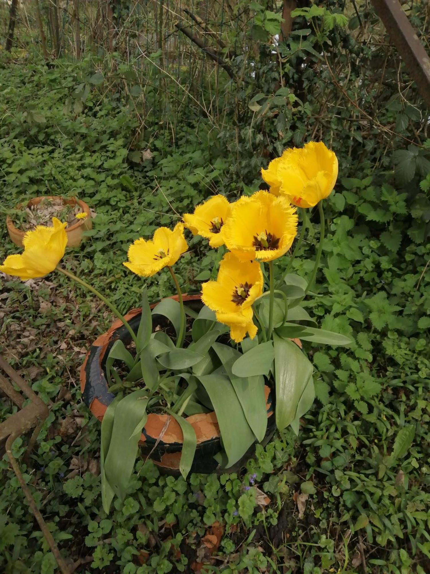 O Jardin De Boutancourt Villa Екстериор снимка
