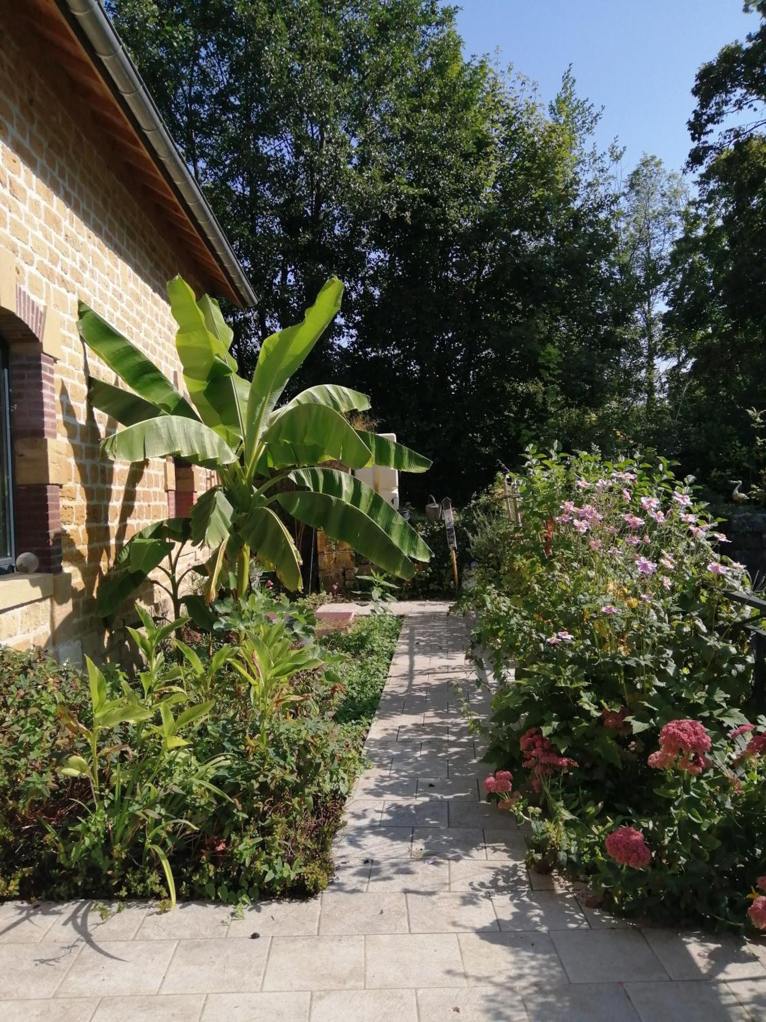 O Jardin De Boutancourt Villa Екстериор снимка